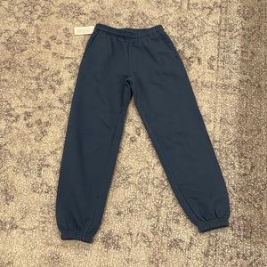 NWT ARITZIA Blue Sweatpants SIZE:XXS